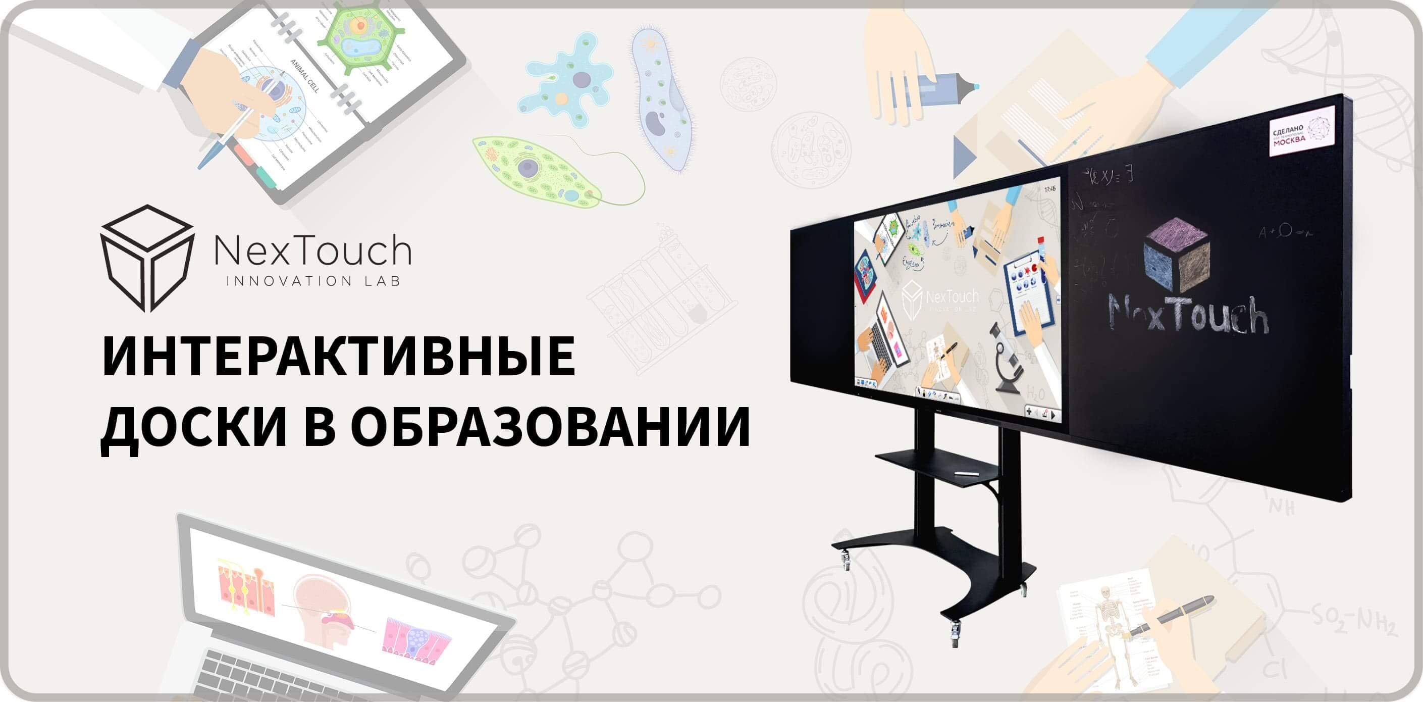 Интерактивные доски в образовании - NexTouch